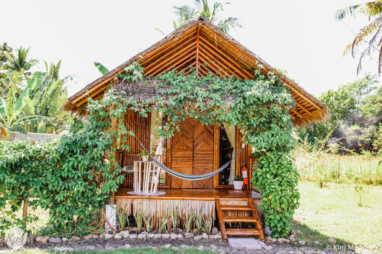 Tongo Hill Cottages Moalboal Exteriér fotografie