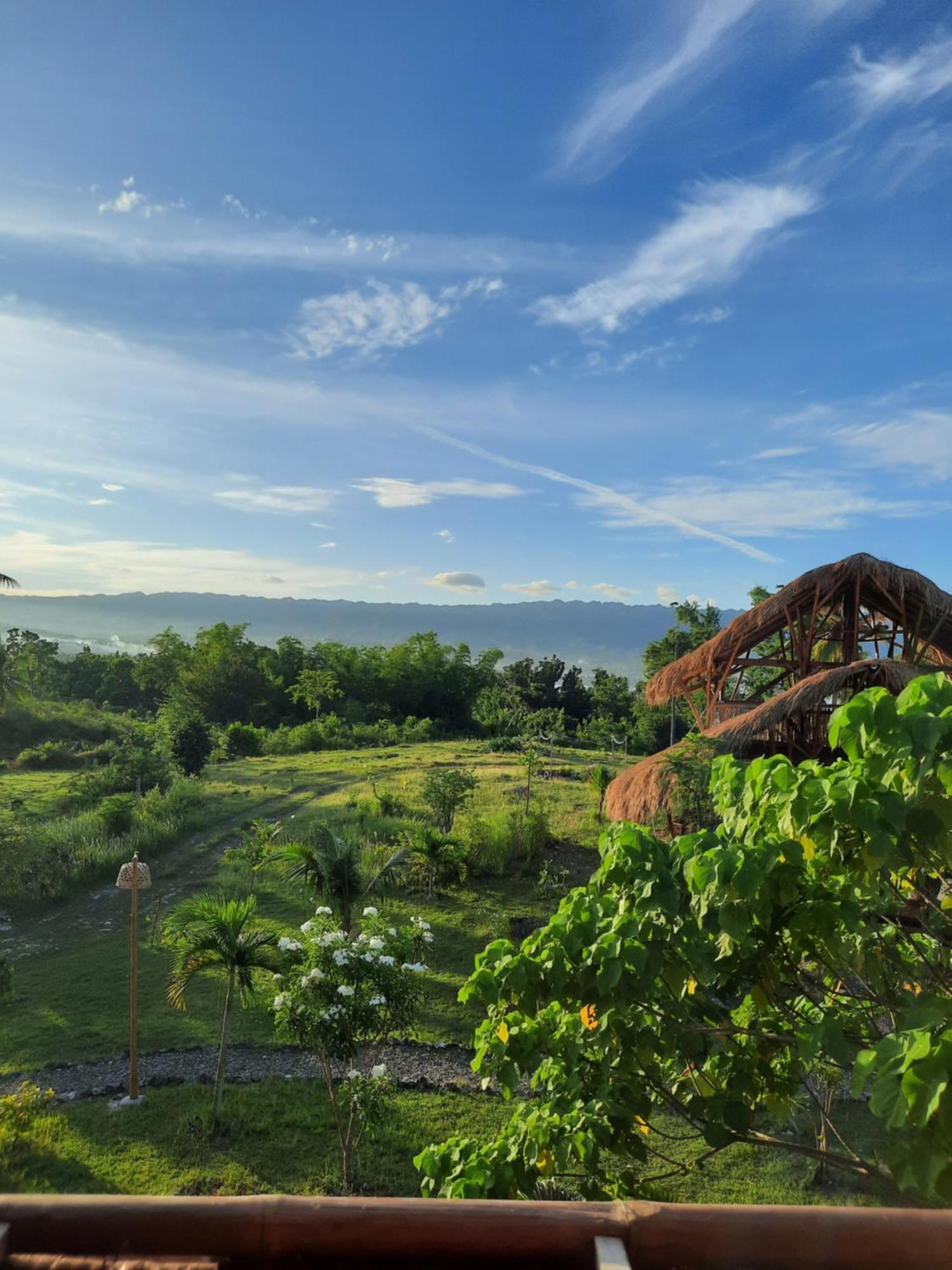 Tongo Hill Cottages Moalboal Exteriér fotografie